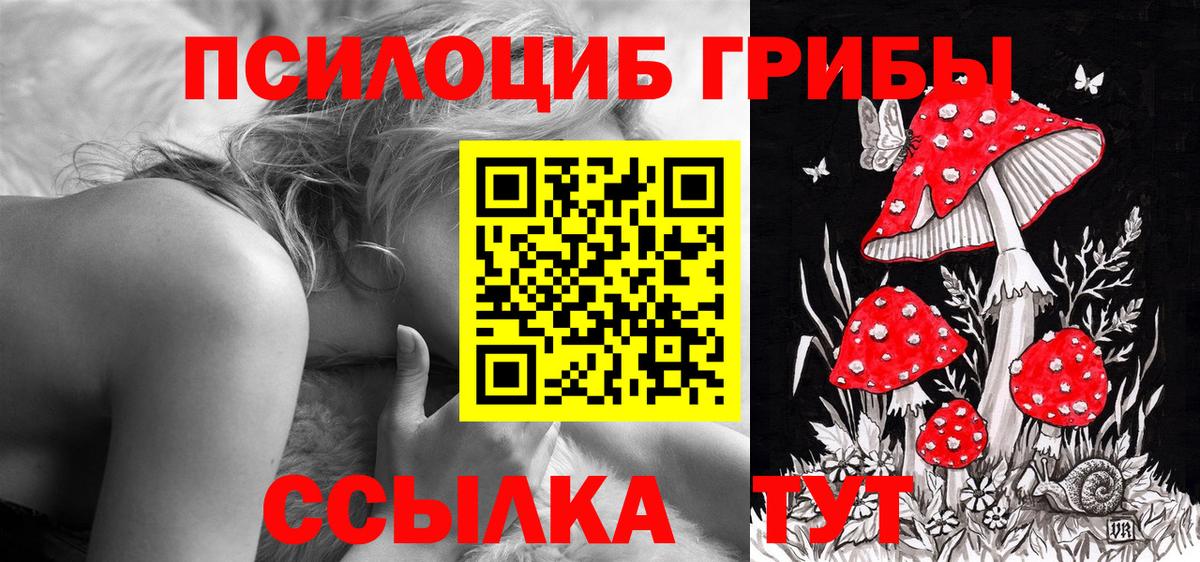 Галлюциногенные грибы ЛСД Россия
