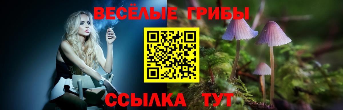 продажа наркотиков  Псилоцибиновые грибы Cubensis  Вход с VPN  Россия 
